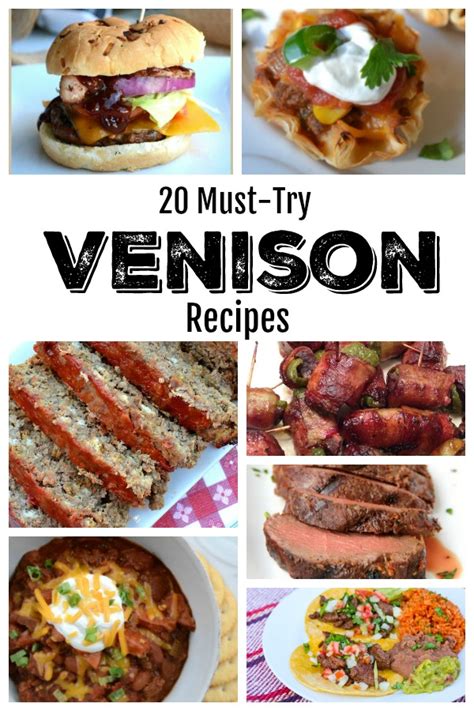 20-must-try-venison-recipes-southern-made-simple image