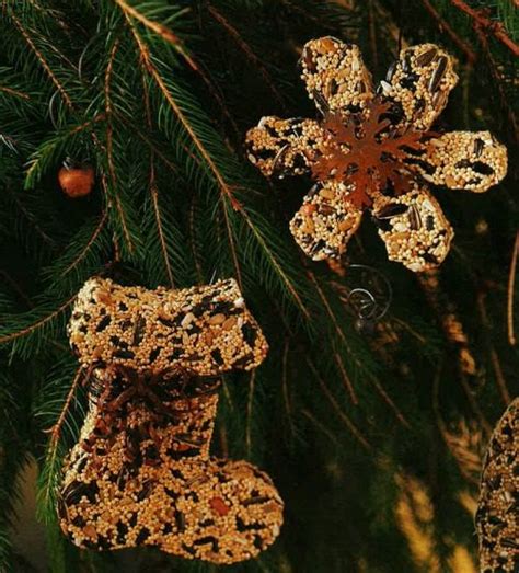 make-your-own-bird-seed-ornaments-birds-and-blooms image
