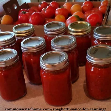 spaghetti-sauce-for-canning-made-with-fresh-or-frozen image