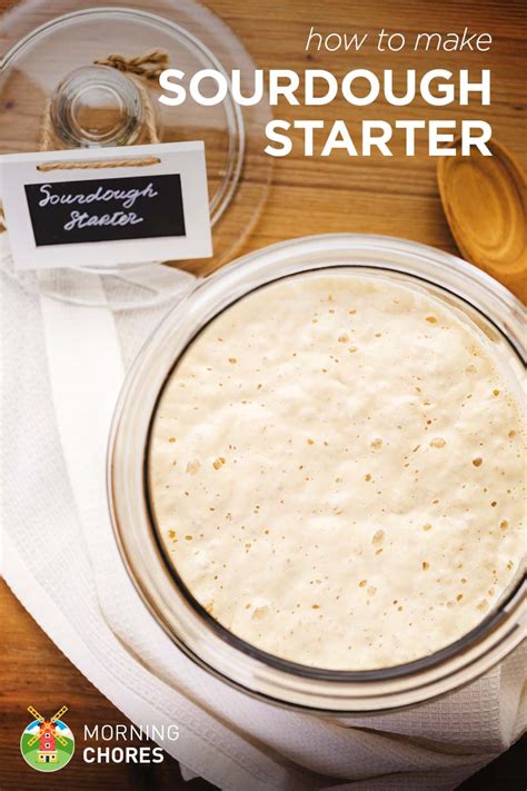 how-to-make-your-own-sourdough-starter-in-4-easy image