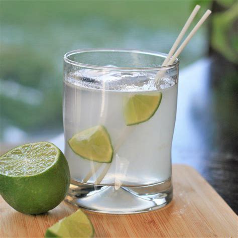 15-classic-gin-cocktails-allrecipes image