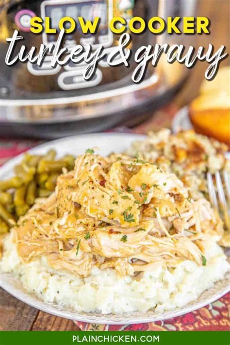 slow-cooker-turkey-gravy-only-3 image