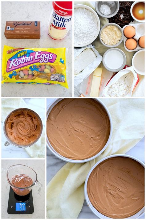 malted-milk-chocolate-cake-recipe-barbara-bakes image