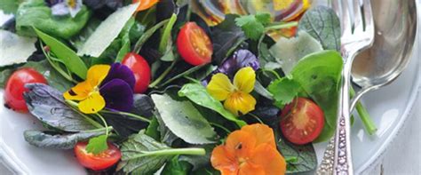 spring-salad-with-black-currant-vinaigrette-prairie image