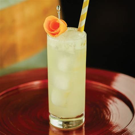 ginger-gin-fizz-cocktail image