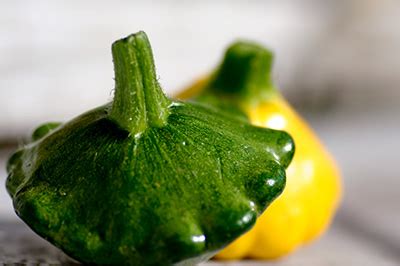 warm-summer-squash-with-capers-salad-metro image
