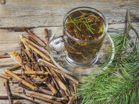 pine-needle-tea-how-to-make-it-benefits-organic-facts image