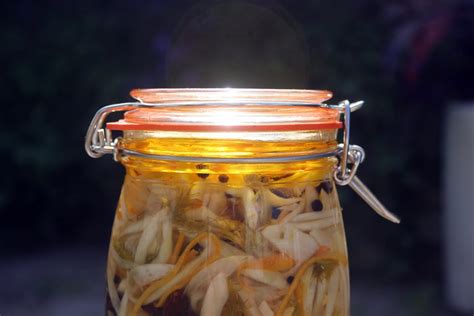 pickled-fennel-recipe-great-british-chefs image