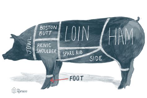 cuts-of-pork-a-pig-diagram-and-pork-chart-the-spruce image