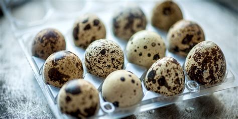 quail-egg-recipes-quail-scotch-egg-poached-quails-egg image