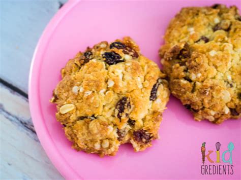 sultana-and-oat-cookies-kidgredients image