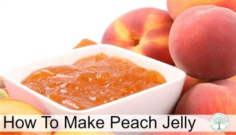 how-to-make-peach-jelly-the-homesteading-hippy image