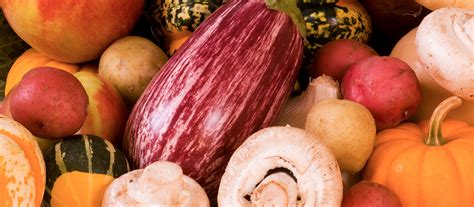 top-10-harvest-foods-for-fall-xenadrinecom image