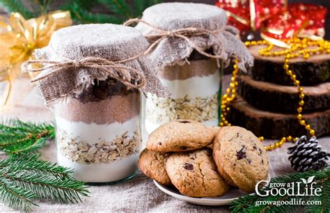 oatmeal-chocolate-chip-cookie-mix-in-a-jar image