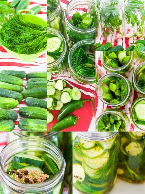 refrigerator-dill-pickle-recipe-no-canning-delicious image