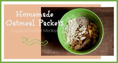 homemade-oatmeal-packets-copycat-quaker-medleys image