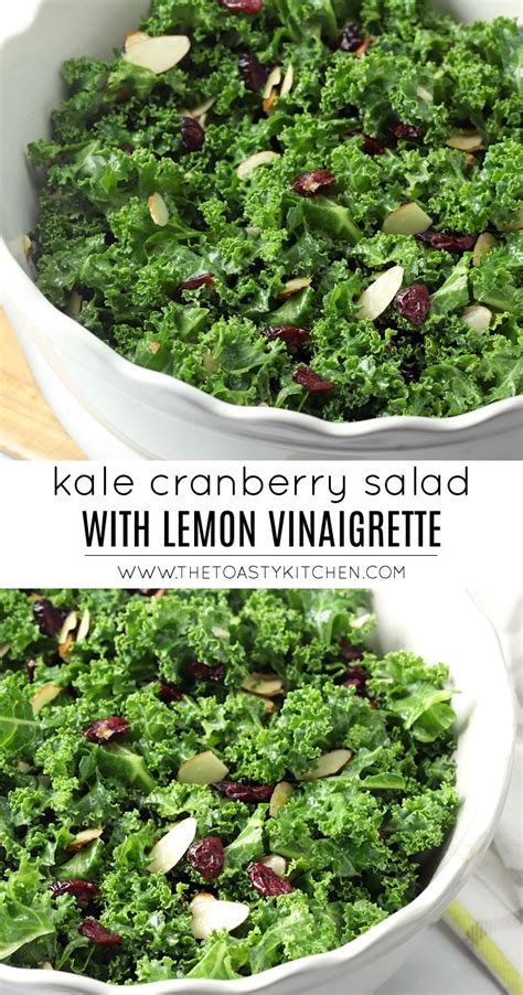 kale-cranberry-salad-with-lemon-vinaigrette-the-toasty image