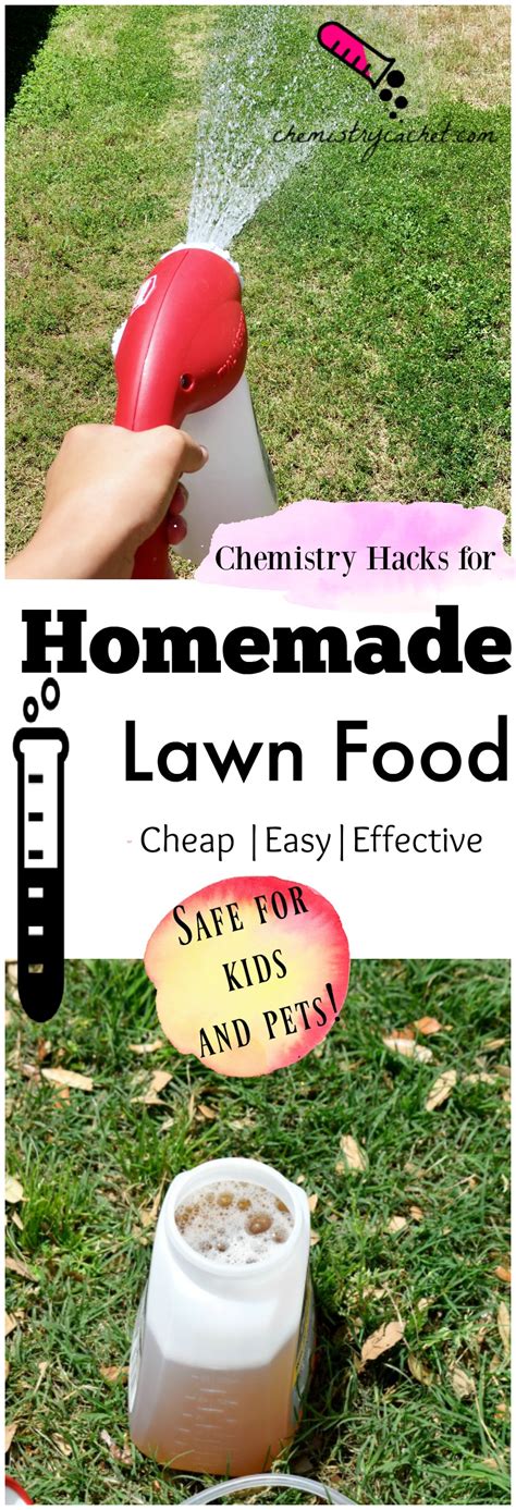 cheap-safe-and-incredibly-effective-homemade-lawn-food image