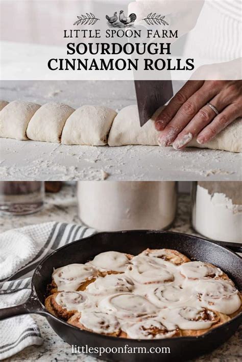 sourdough-cinnamon-rolls-easy-overnight-little image