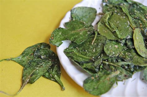 italian-herb-baked-spinach-chips-recipe-divas-can-cook image