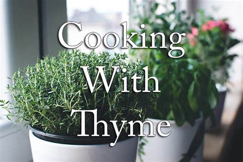 learning-how-to-use-thyme-15-best-ideas-to-cook-with image
