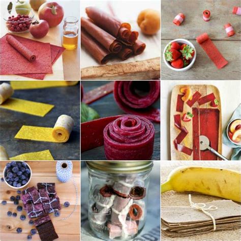 18-best-all-natural-fruit-leather-recipes-homestead image