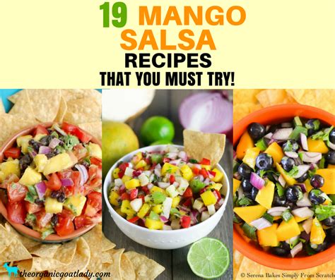 19-mango-salsa-recipe-ideas-the-organic-goat-lady image