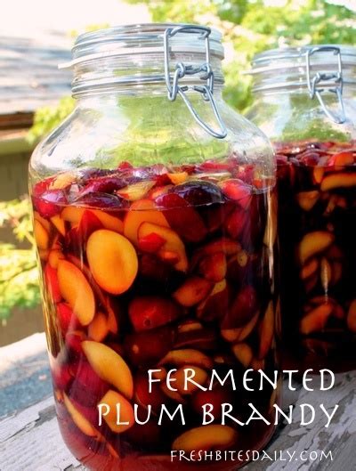 this-fermented-plum-brandy-will-change-the-way-you image
