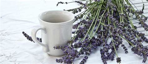 lavender-latte-why-is-this-drink-so-popular-in-2023 image