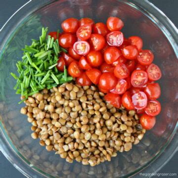 5-minute-lentil-tomato-salad-easy-the-garden-grazer image