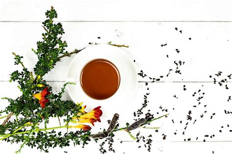types-of-russian-tea-simple-loose-leaf-tea-company image