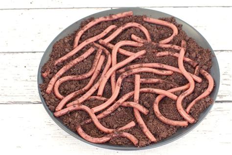 jello-worms-and-dirt-cup-earth-day-recipe-food image