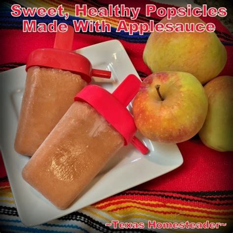 healthy-cold-treat-frozen-applesauce-popsicle-texas image
