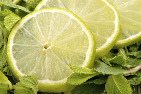 citrus-mint-cooler-the-splendid-table image