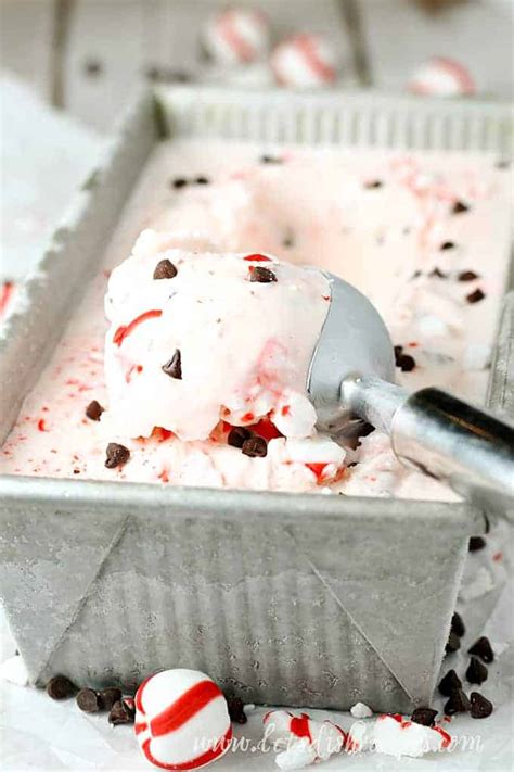 homemade-peppermint-chocolate-chip-ice-cream-lets image