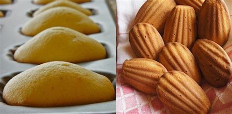 les-madeleinesand-all-things-classic-honest-cooking image