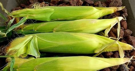 corn-on-the-cob-recipes-whats-cookin-italian-style image