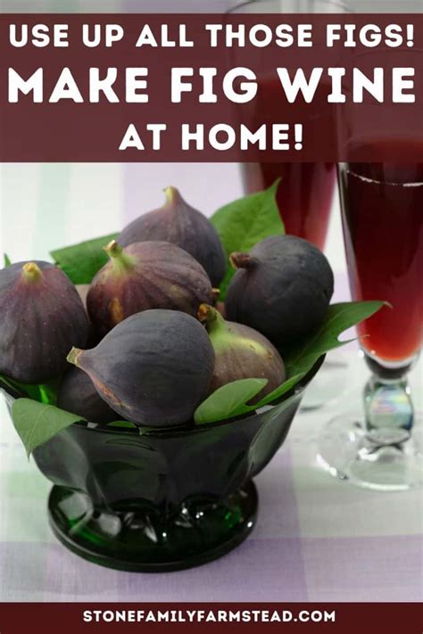 how-to-make-fig-wine-at-home-step-by-step image