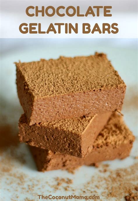 chocolate-gelatin-bars-paleo-protein-bars-the image