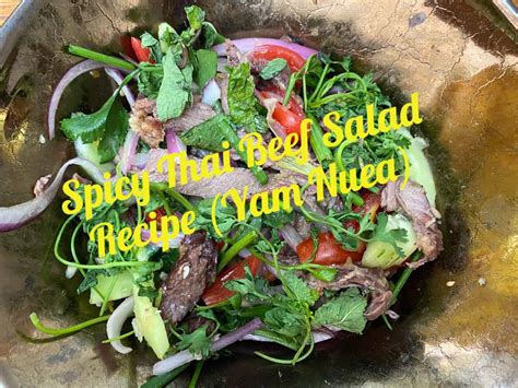 spicy-thai-beef-salad-recipe-yam-nuea-a-bus-on-a image
