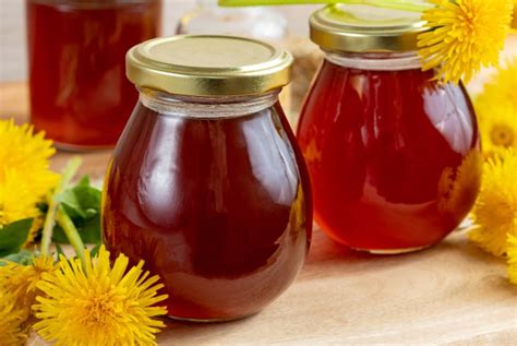 dandelion-honey-recipe-practical-frugality image