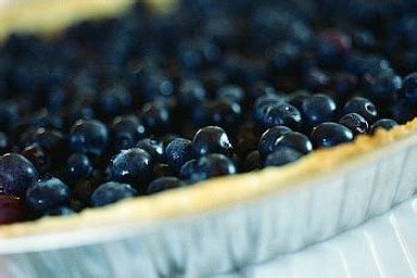 my-favorite-icebox-blueberry-pie-craftybaking image