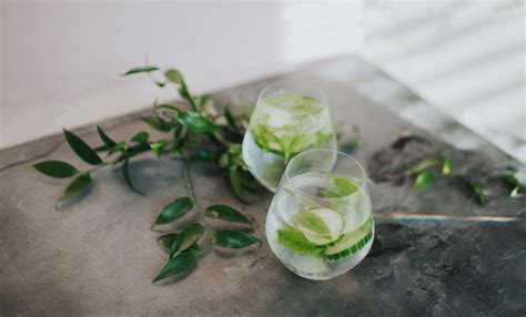 14-crisp-and-clean-cucumber-cocktails-the-spruce-eats image