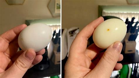 how-to-make-hard-boiled-eggs-in-an-oven-womans image