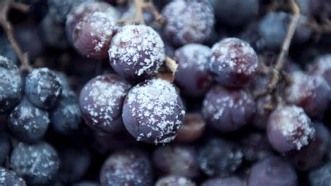 recipe-snow-grapes-boomermagazinecom image