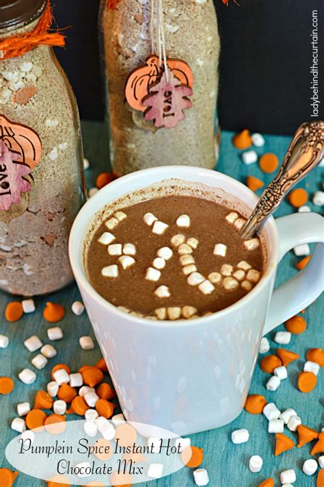 pumpkin-spice-instant-hot-chocolate-mix image