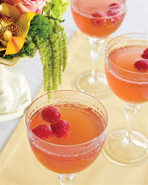 sparkling-raspberry-punch-southern-lady-magazine image