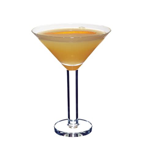 alabama-slammer-straight-up-cocktail image