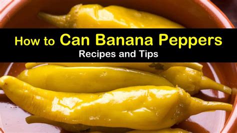 2-excellent-ways-to-can-banana-peppers-tips-bulletin image