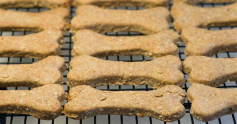 homemade-dog-biscuits-top-recipes-for-making-your image
